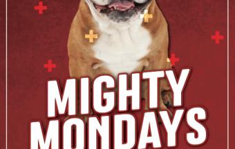 Mighty Mondays
